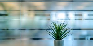 מדבקה חלבית לחלון